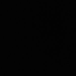 Meet your Posher, Alice